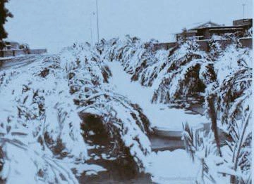 WhatsApp Image 2025-11-19 at 13.41.48 (1).jpeg