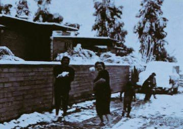 WhatsApp Image 2025-11-19 at 13.41.48 (2).jpeg