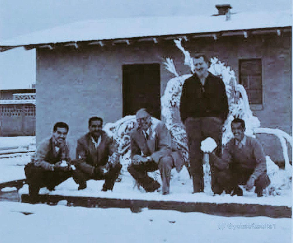 WhatsApp Image 2025-11-19 at 13.41.48 (3).jpeg