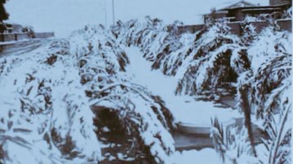 WhatsApp Image 2025-11-19 at 13.41.49.jpeg