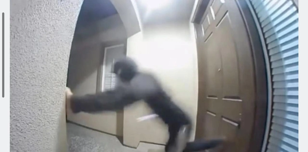 WhatsApp Image 2025-11-20 at 12.03.00 PM (1).jpeg WhatsApp Image 2025-11-20 at 12.03.00 PM (1).jpeg