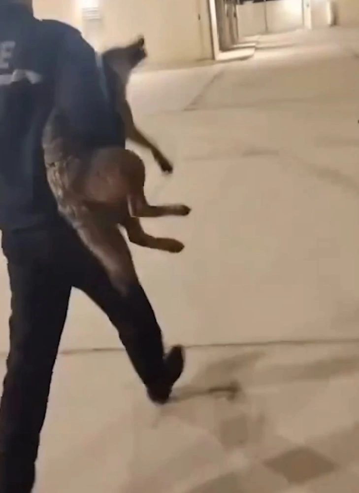 WhatsApp Image 2025-11-20 at 12.40.58 PM.jpeg