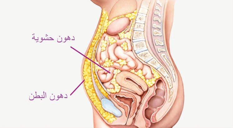 WhatsApp Image 2025-11-20 at 9.53.15 AM.jpeg