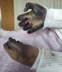 WhatsApp Image 2025-11-21 at 1.52.11 PM.jpeg