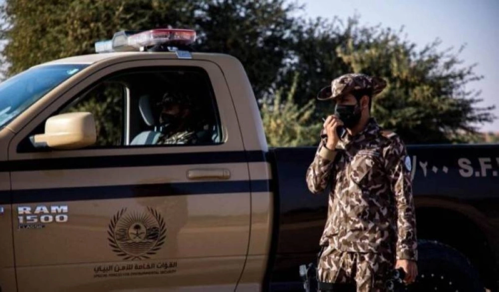 المدينة المنورة المدينة المنورة