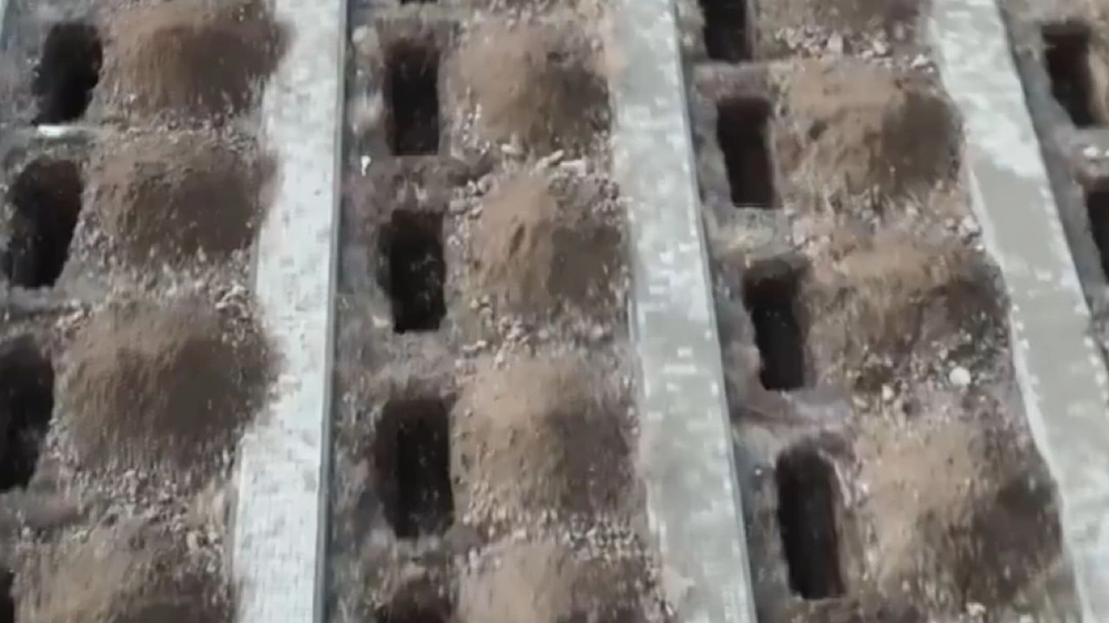 WhatsApp Image 2025-11-21 at 9.30.31 PM.jpeg