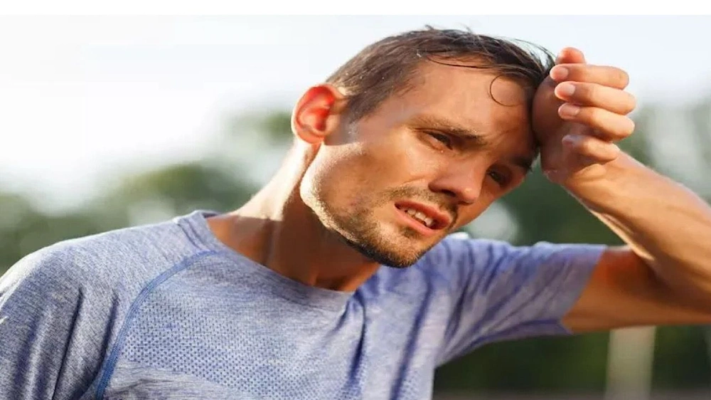 WhatsApp Image 2025-11-23 at 8.35.40 PM.jpeg WhatsApp Image 2025-11-23 at 8.35.40 PM.jpeg