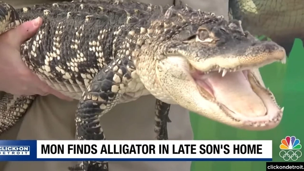 WhatsApp Image 2025-11-24 at 7.57.59 PM.jpeg