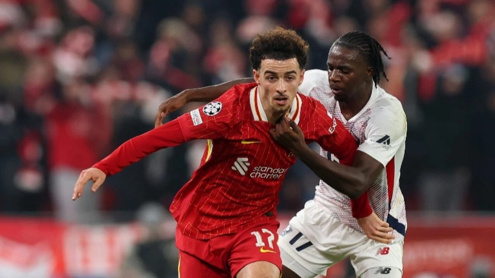 WhatsApp Image 2025-11-27 at 11.03.41 PM.jpeg WhatsApp Image 2025-11-27 at 11.03.41 PM.jpeg