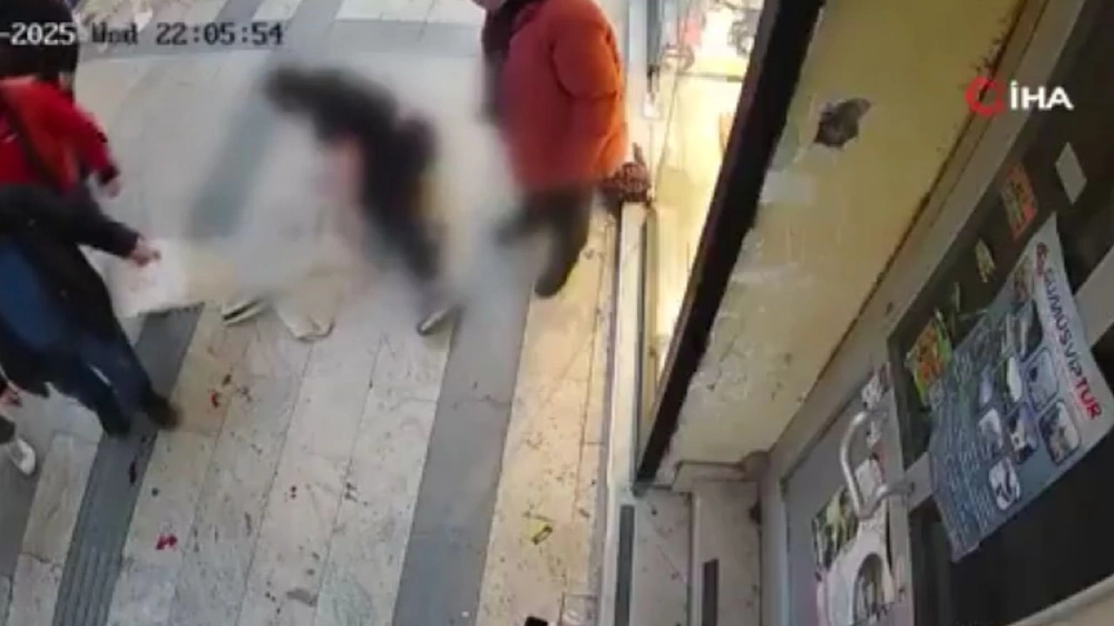 WhatsApp Image 2025-11-27 at 5.39.57 PM.jpeg