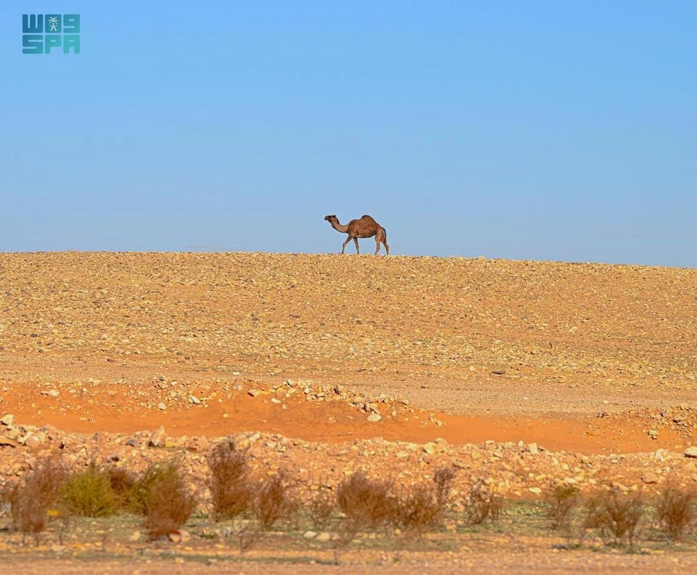 WhatsApp Image 2025-11-30 at 6.54.27 PM.jpeg