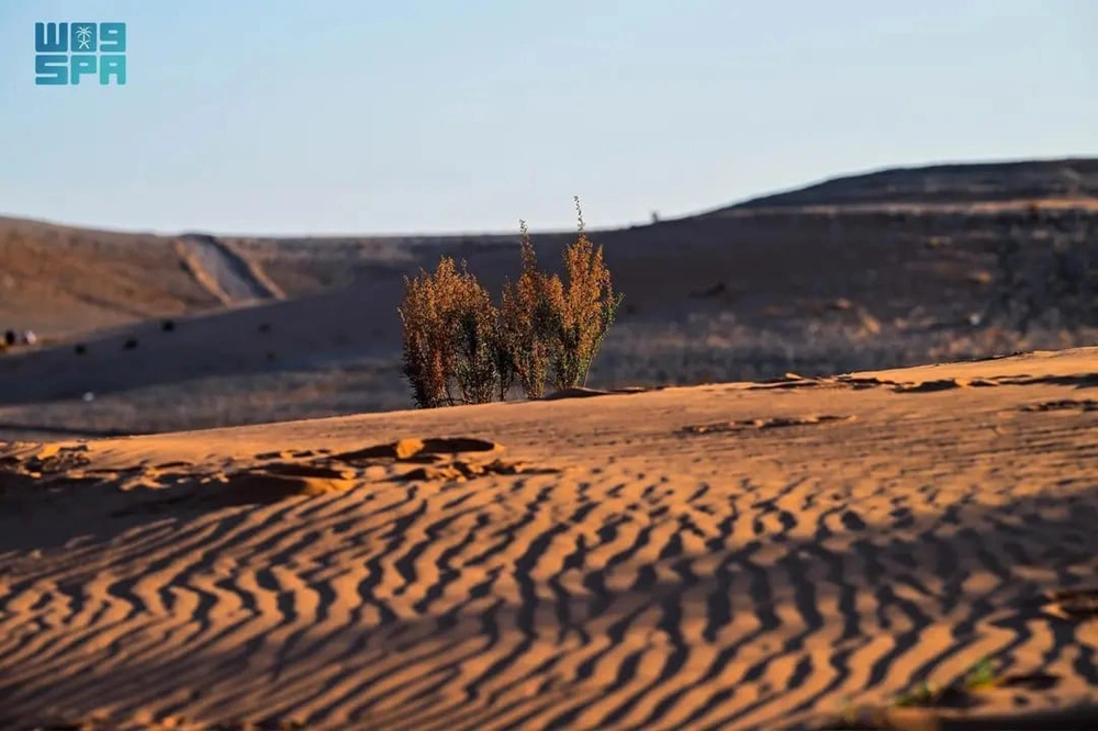 WhatsApp Image 2025-11-30 at 6.54.27 PM (1).jpeg