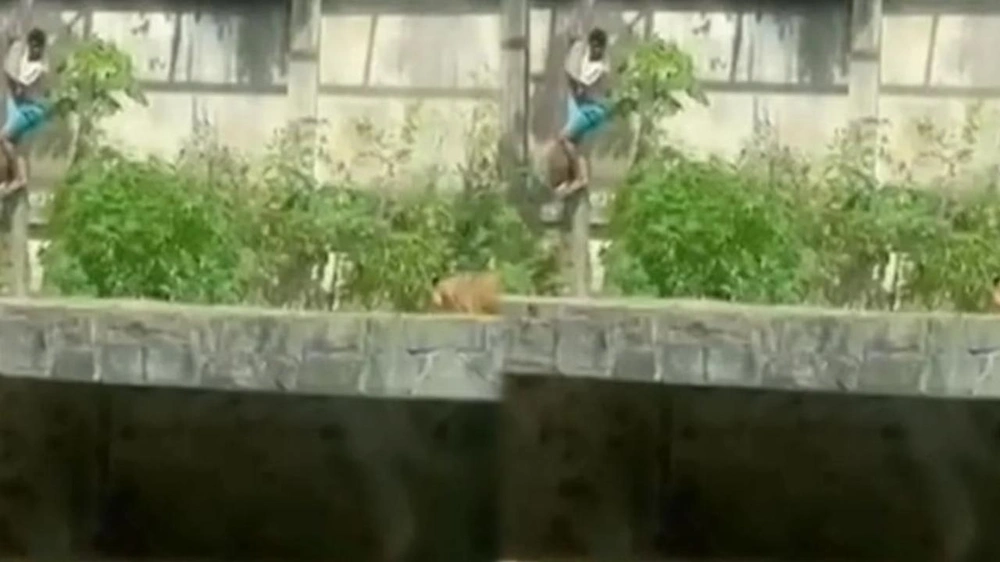 WhatsApp Image 2025-12-01 at 3.40.55 PM.jpeg