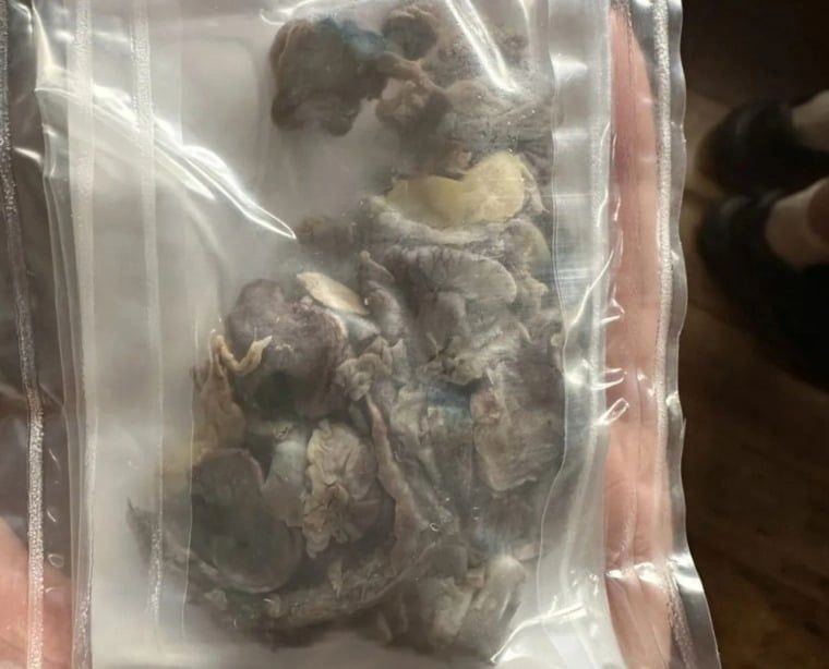 WhatsApp Image 2025-12-02 at 1.09.48 PM (1).jpeg