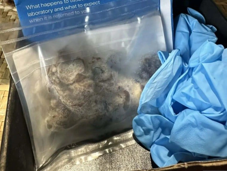 WhatsApp Image 2025-12-02 at 1.09.49 PM.jpeg