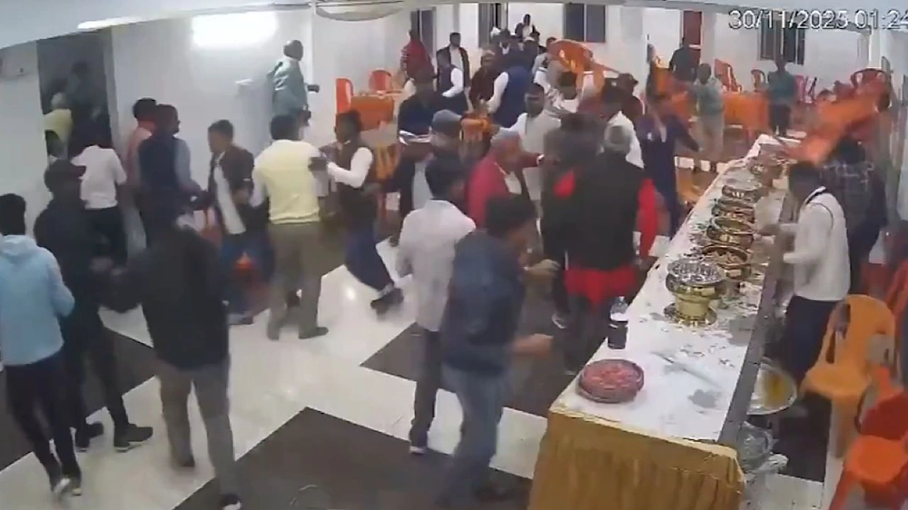 شجار , عروسان , حلوي