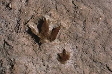 WhatsApp Image 2025-12-04 at 20.13.05.jpeg WhatsApp Image 2025-12-04 at 20.13.05.jpeg