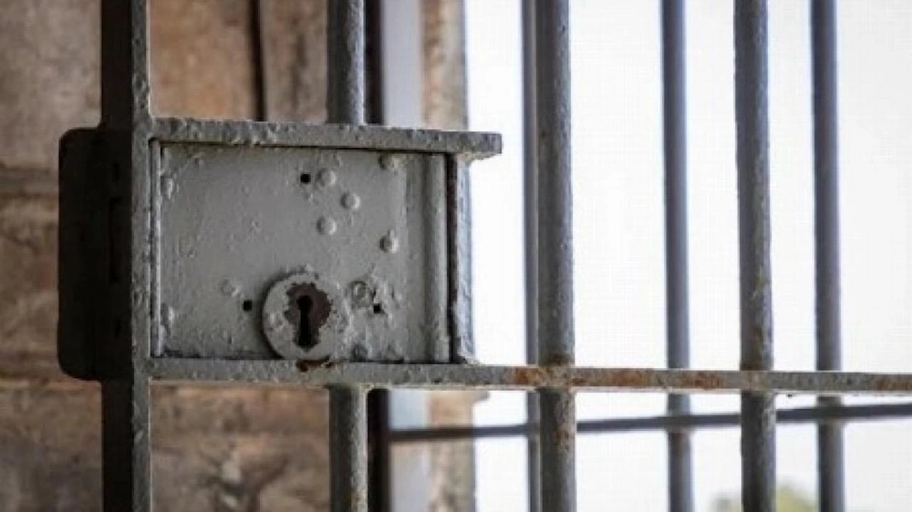 WhatsApp Image 2025-12-06 at 2.45.04 PM.jpeg WhatsApp Image 2025-12-06 at 2.45.04 PM.jpeg