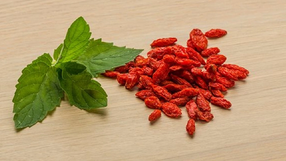 ضضضضضض ضضضضضض