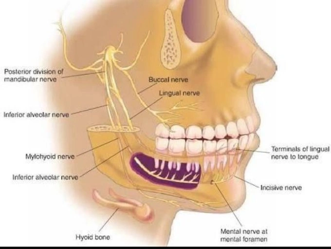 ييييييييييي ييييييييييي