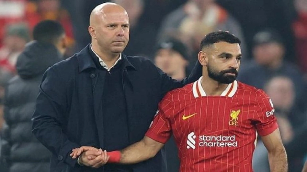 WhatsApp Image 2025-12-08 at 10.50.02 PM.jpeg WhatsApp Image 2025-12-08 at 10.50.02 PM.jpeg