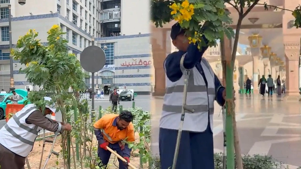 WhatsApp Image 2025-12-10 at 3.21.32 PM.jpeg