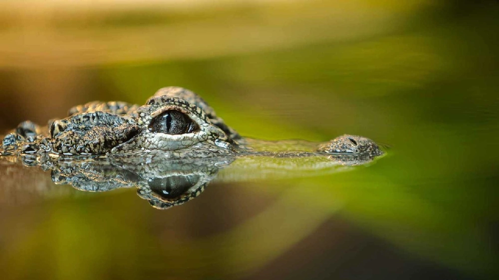 WhatsApp Image 2025-12-10 at 7.37.48 PM.jpeg WhatsApp Image 2025-12-10 at 7.37.48 PM.jpeg