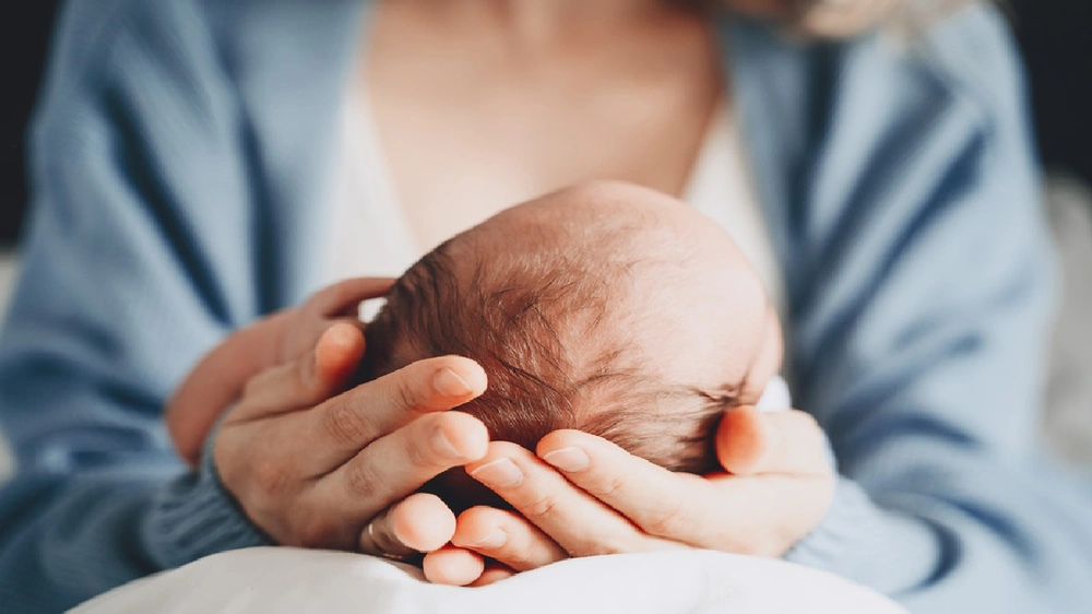 زززززززززززز زززززززززززز