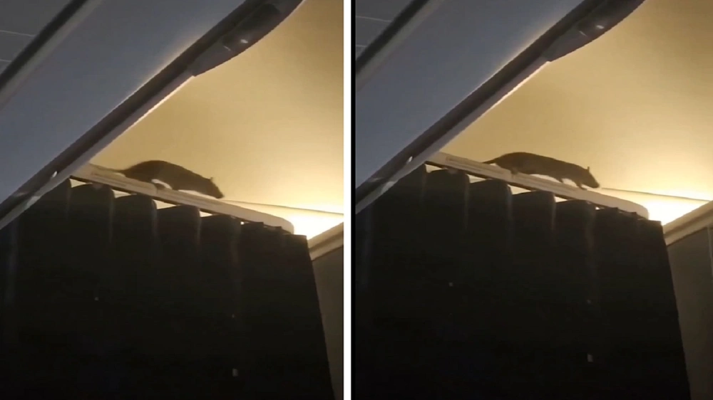 نننننننننننننن نننننننننننننن