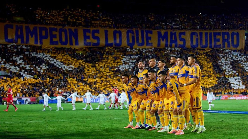 WhatsApp Image 2025-12-15 at 5.20.25 PM.jpeg WhatsApp Image 2025-12-15 at 5.20.25 PM.jpeg