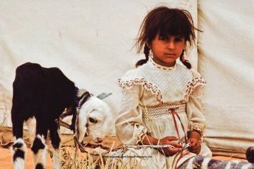 WhatsApp Image 2025-12-16 at 11.05.46.jpeg WhatsApp Image 2025-12-16 at 11.05.46.jpeg