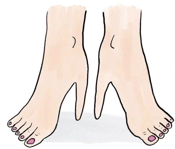 WhatsApp Image 2025-12-17 at 1.42.53 PM.jpeg WhatsApp Image 2025-12-17 at 1.42.53 PM.jpeg