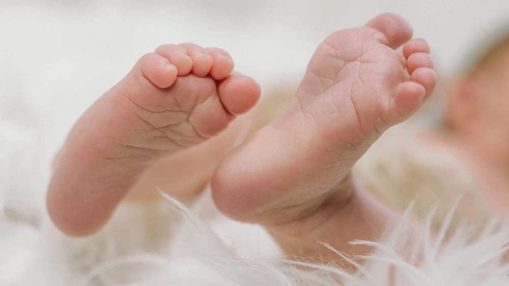 WhatsApp Image 2025-12-17 at 7.01.51 PM.jpeg WhatsApp Image 2025-12-17 at 7.01.51 PM.jpeg