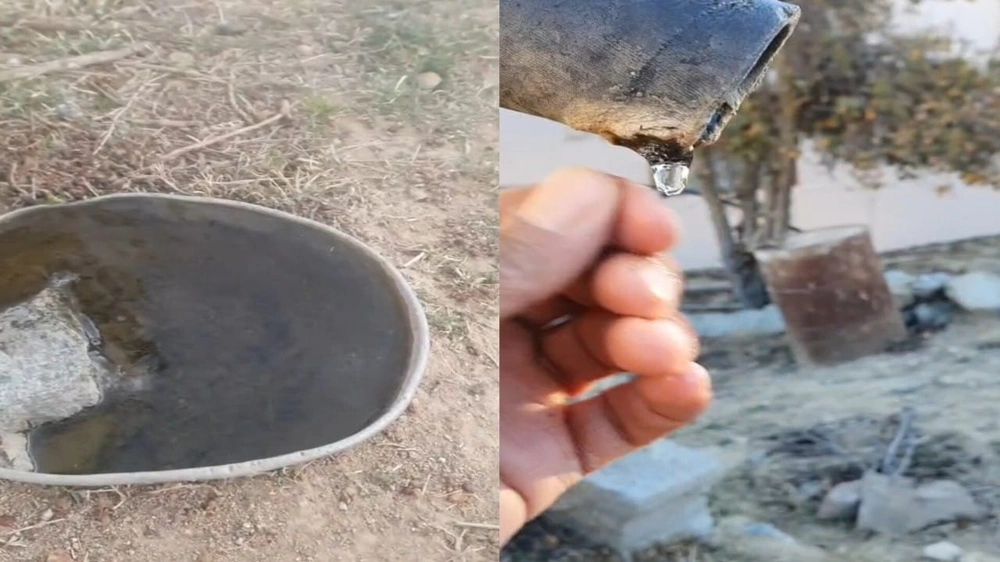 WhatsApp Image 2025-12-20 at 12.03.22 PM.jpeg