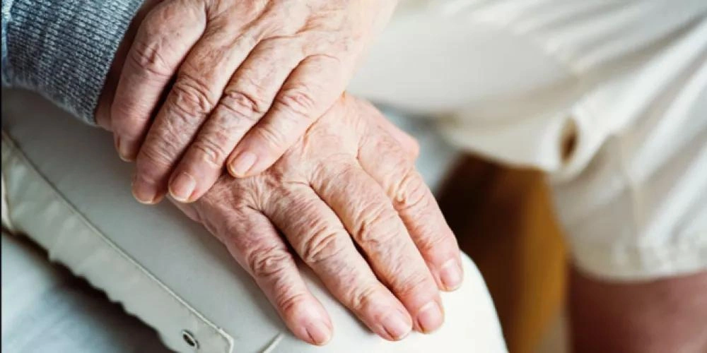 الشيخوخة, عمر الدماغ, النوم الجيد, إدارة التوتر, الترابط الاجتماعي, حماية المادة الرمادية, جامعة فلوريدا, جامعة ليمريك