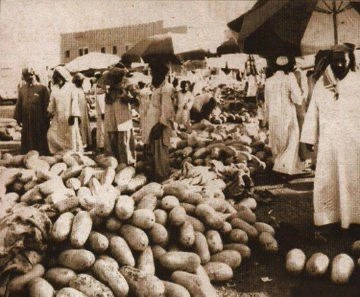 WhatsApp Image 2025-12-22 at 14.30.25.jpeg