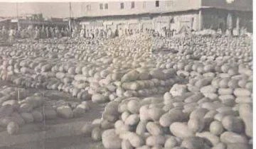 WhatsApp Image 2025-12-22 at 14.30.25 (1).jpeg