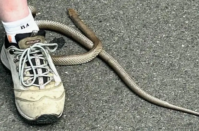 ببببببببببب