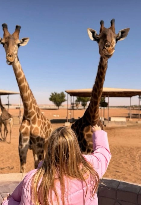 WhatsApp Image 2025-12-23 at 8.41.00 PM (1).jpeg