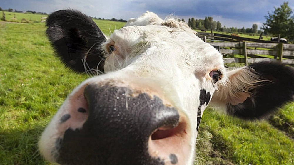 WhatsApp Image 2025-12-24 at 1.57.04 PM (2).jpeg