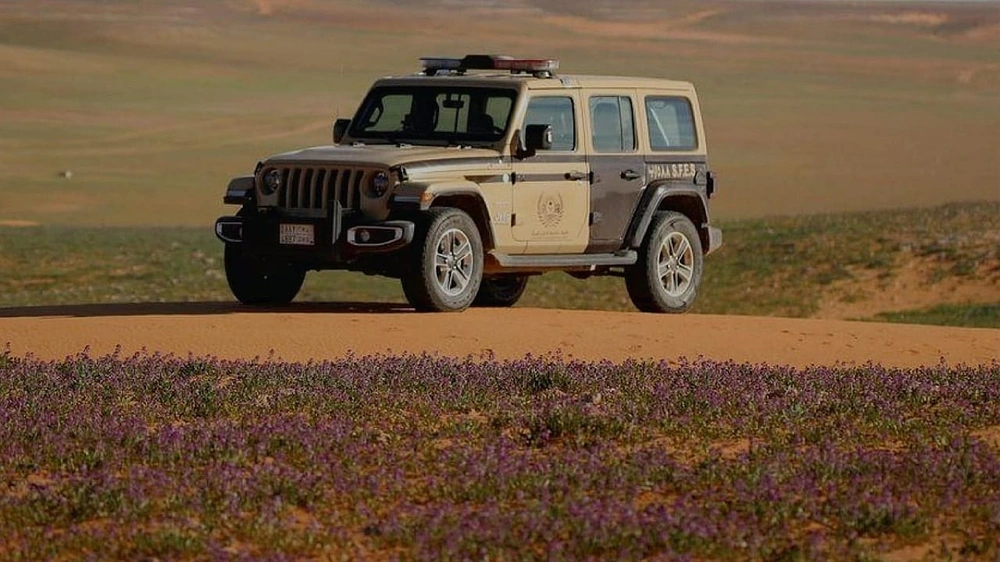 WhatsApp Image 2025-12-26 at 3.26.25 PM.jpeg