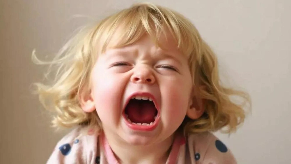 استشاري الطب النفسي ,  نادر الرحيلي ,  نوبات غضب طبيعية ,  الأطفال , خلل التنظيم الانفعالي