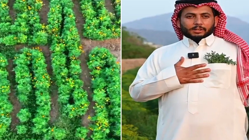 محايل عسير, عسير, النباتان , الزهور