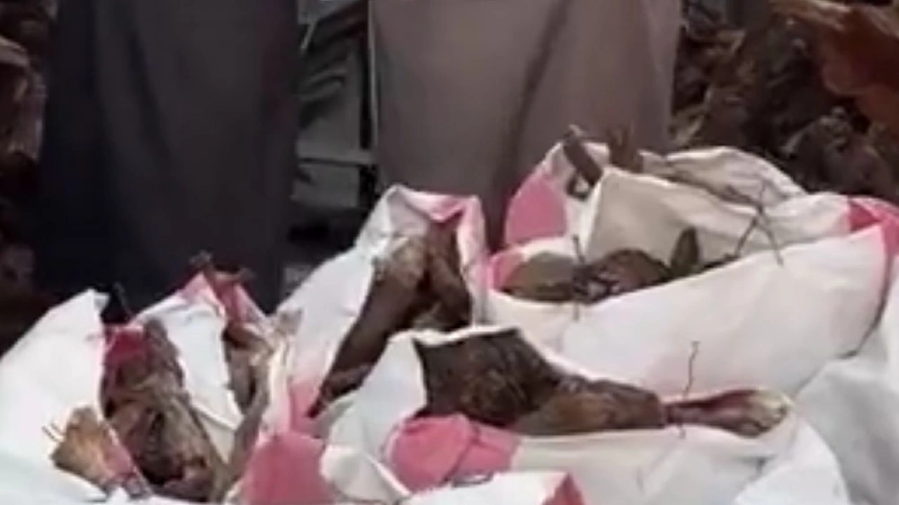 WhatsApp Image 2025-12-29 at 8.41.47 PM.jpeg WhatsApp Image 2025-12-29 at 8.41.47 PM.jpeg