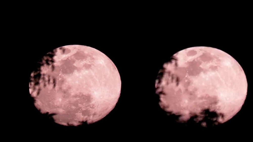 WhatsApp Image 2026-01-03 at 1.25.54 PM.jpeg WhatsApp Image 2026-01-03 at 1.25.54 PM.jpeg