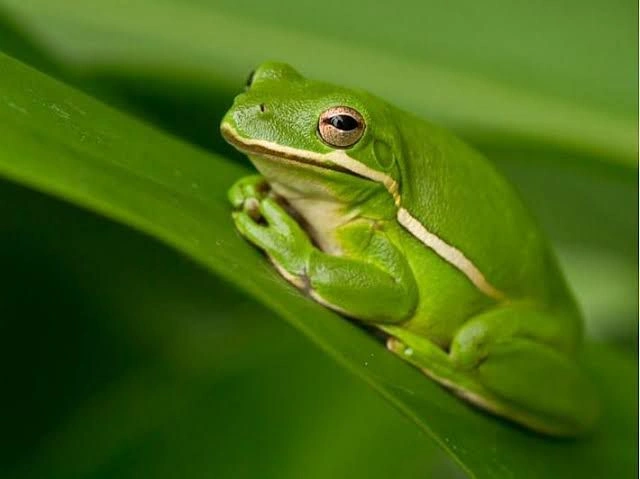 شرطة يوتا, الذكاء الاصطناعي, تقرير أمني, كاميرا الجسم, الخطأ التقني, الولايات المتحدة, AI في الشرطة, الأميرة والضفدع, فجوة الذكاء الاصطناعي, MIT شرطة يوتا, الذكاء الاصطناعي, تقرير أمني, كاميرا الجسم, الخطأ التقني, الولايات المتحدة, AI في الشرطة, الأميرة والضفدع, فجوة الذكاء الاصطناعي, MIT