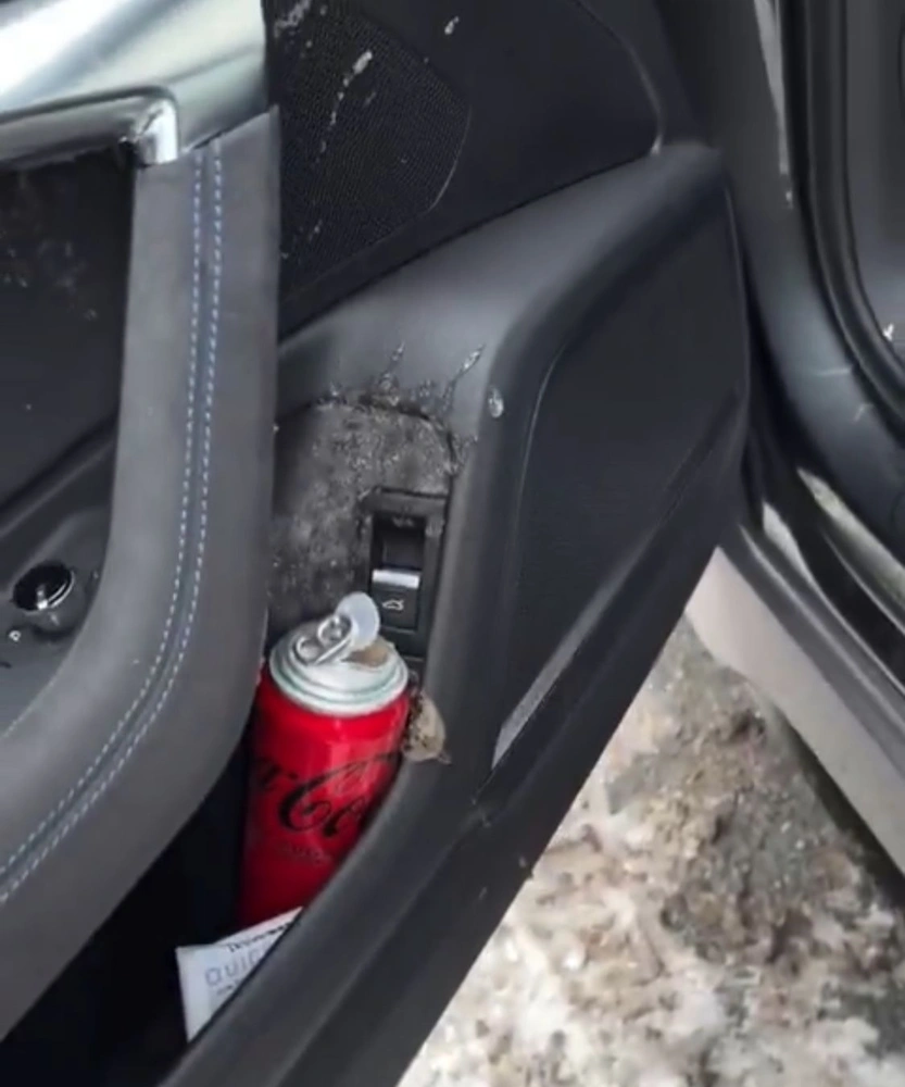 تركيا, انفجار علبة كوكاكولا, سيارة, البرد الشديد, تجمّد المشروبات الغازية, أضرار مادية, تنظيف السيارة