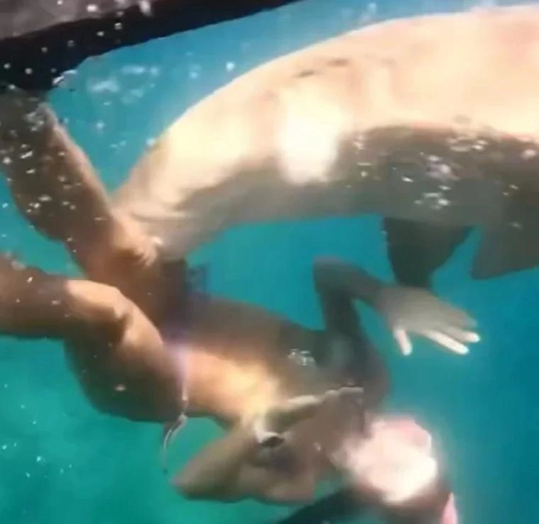 WhatsApp Image 2026-01-14 at 12.21.23 PM.jpeg