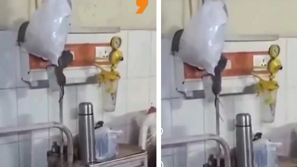 WhatsApp Image 2026-01-14 at 8.40.09 PM (1).jpeg