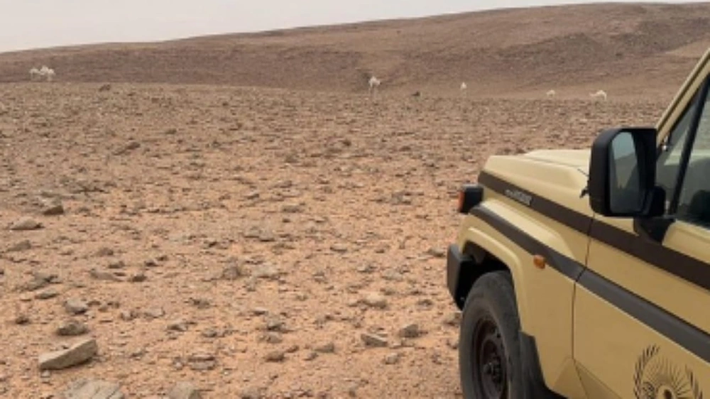 WhatsApp Image 2026-01-16 at 6.50.29 PM (1).jpeg